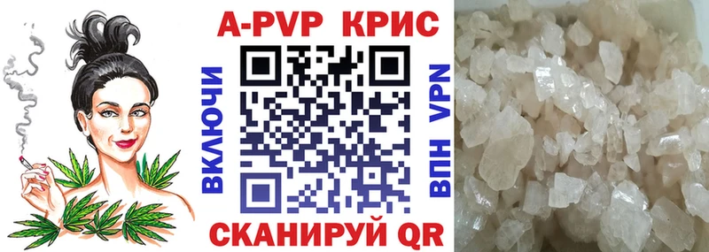 omg   это какой сайт  Alpha PVP СК КРИС  Бакал 